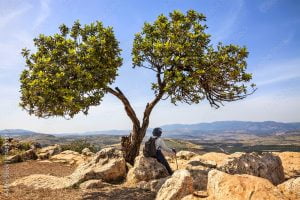 Galilee Adventure Guided Tour | TLV VIP